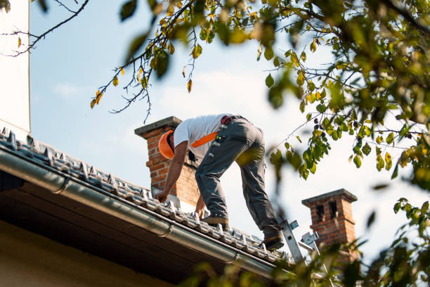 Best Local Roofing Companies  in Irvine, KY