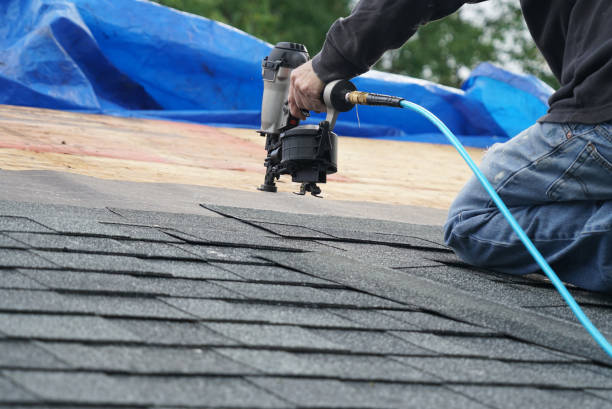 Best Roof Gutter Cleaning  in Irvine, KY