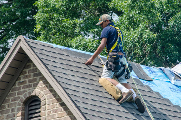 Best Residential Roofing Contractor  in Irvine, KY